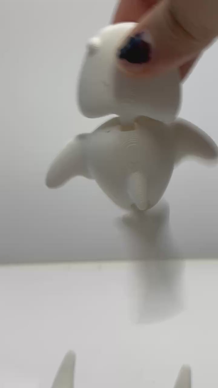 Whale
