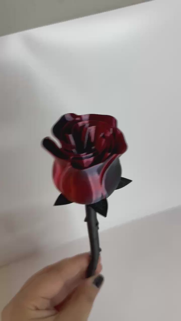 Beautiful Rose- Dual Color Shifting