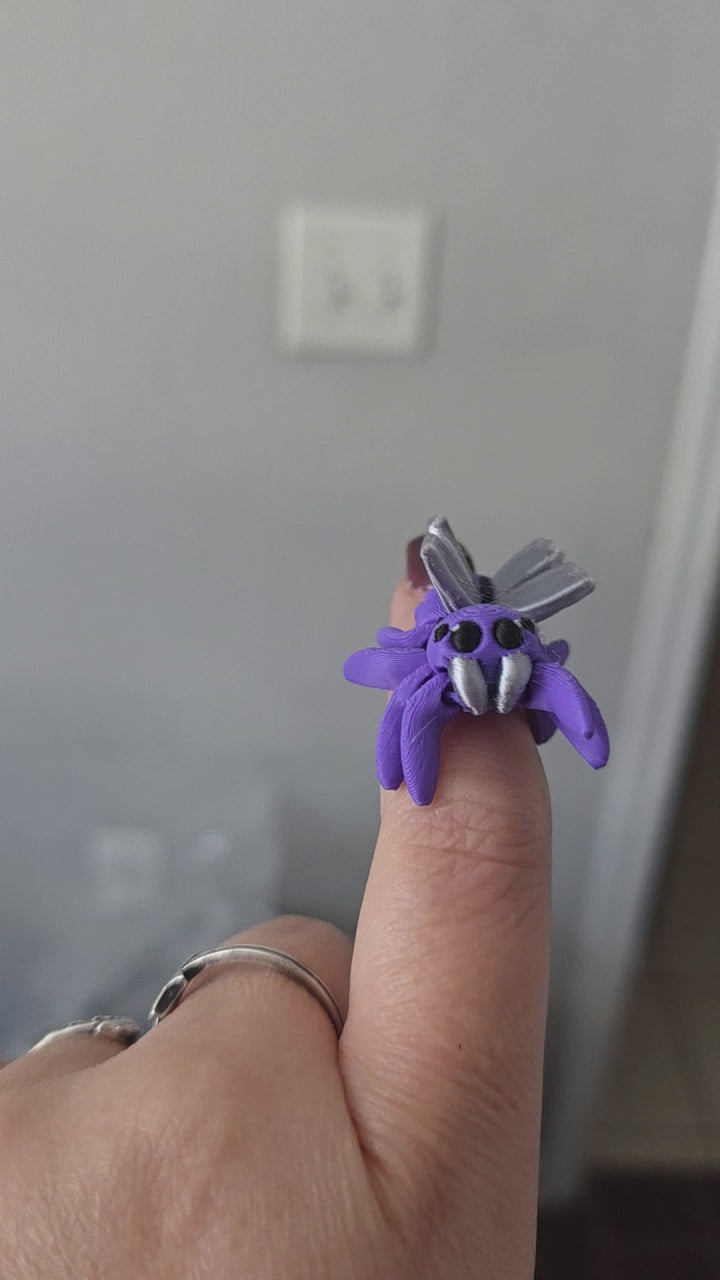 Little Spider Butterfly