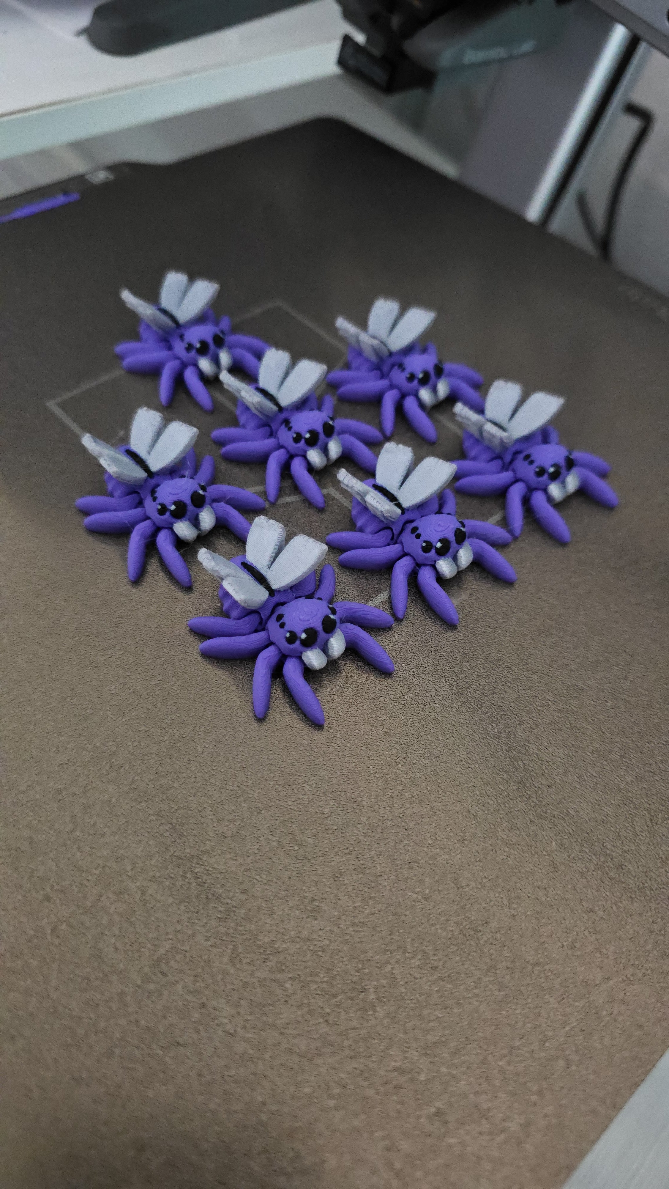 Little Spider Butterfly