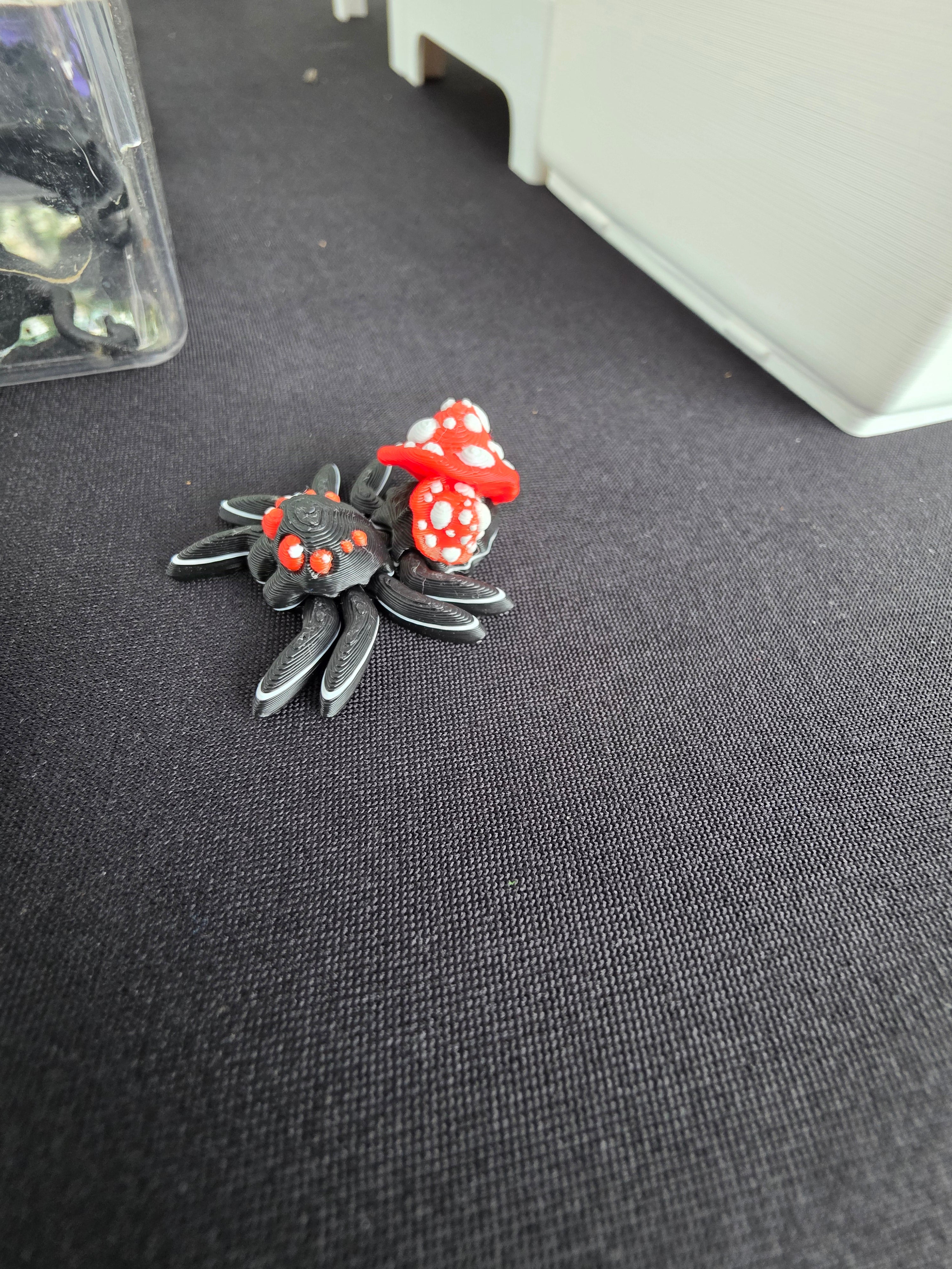 Little Mushroom Spider