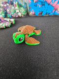 Tiny Turtle