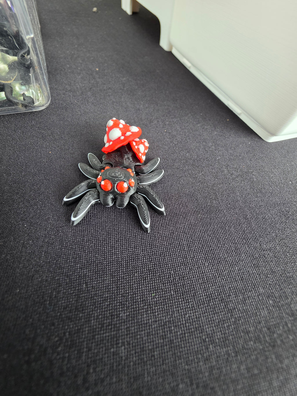 Little Mushroom Spider