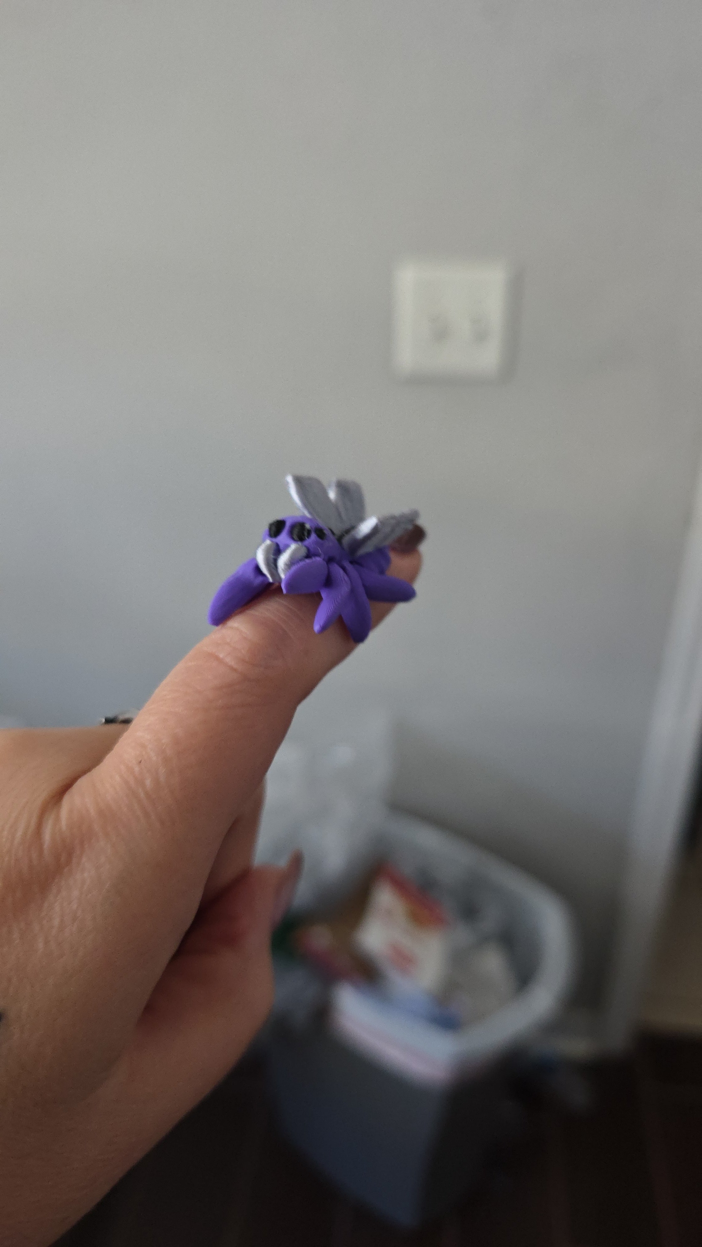 Little Spider Butterfly