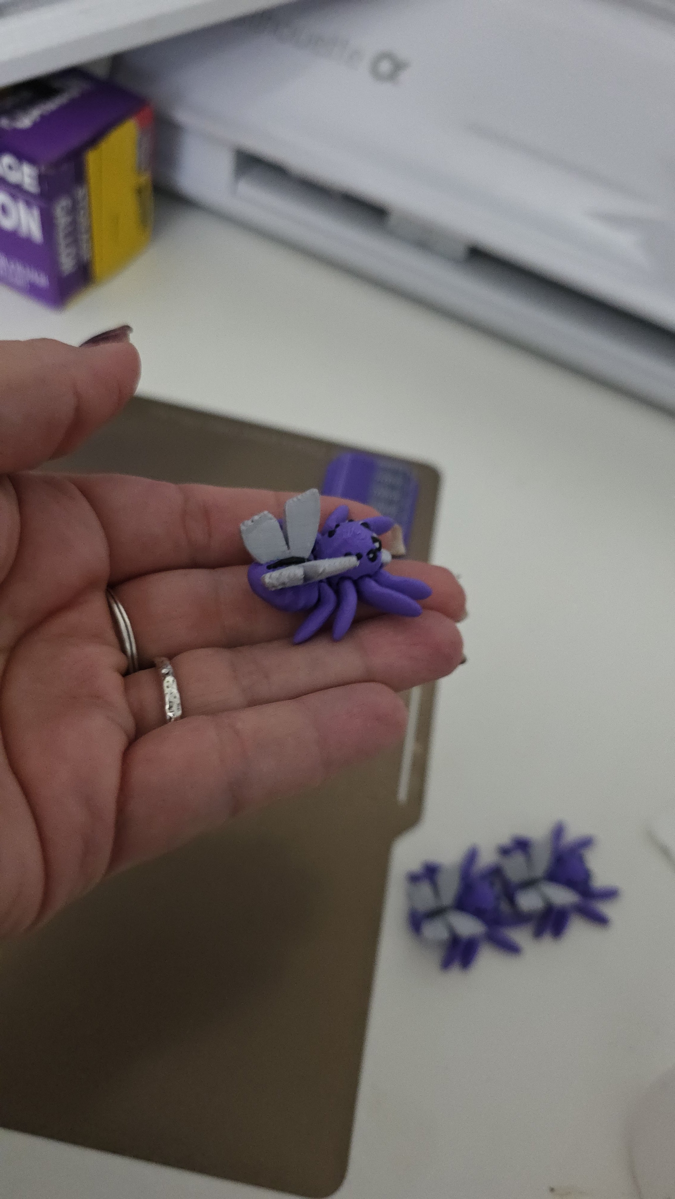 Little Spider Butterfly