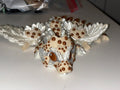 Chocolate Chip Cookie Dragon